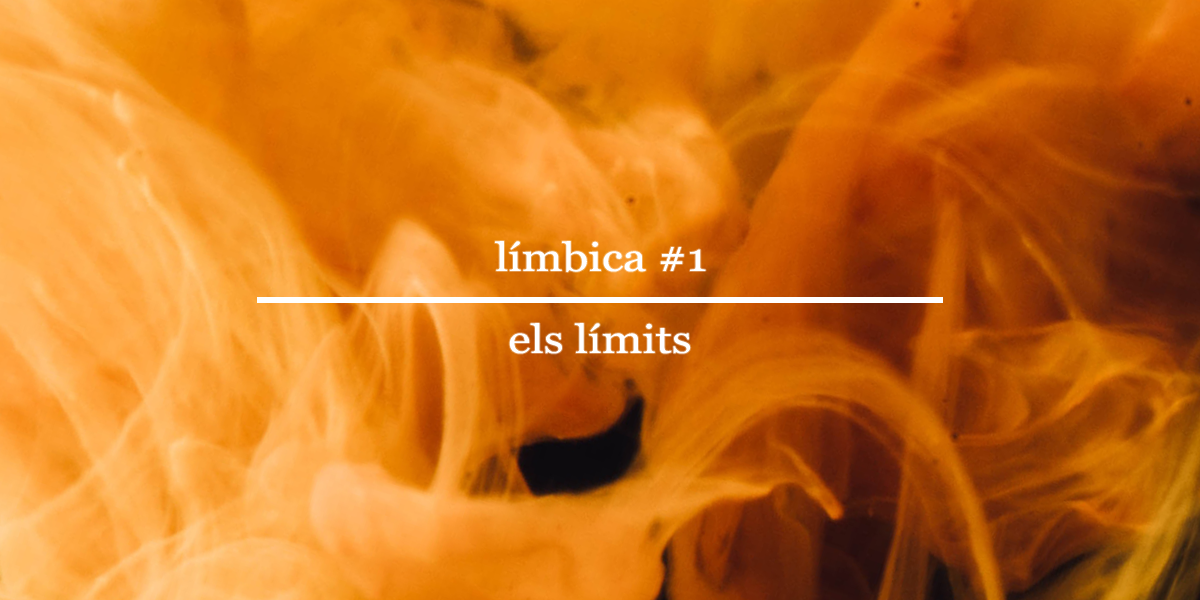 LÍMBICA #1 - Els límits